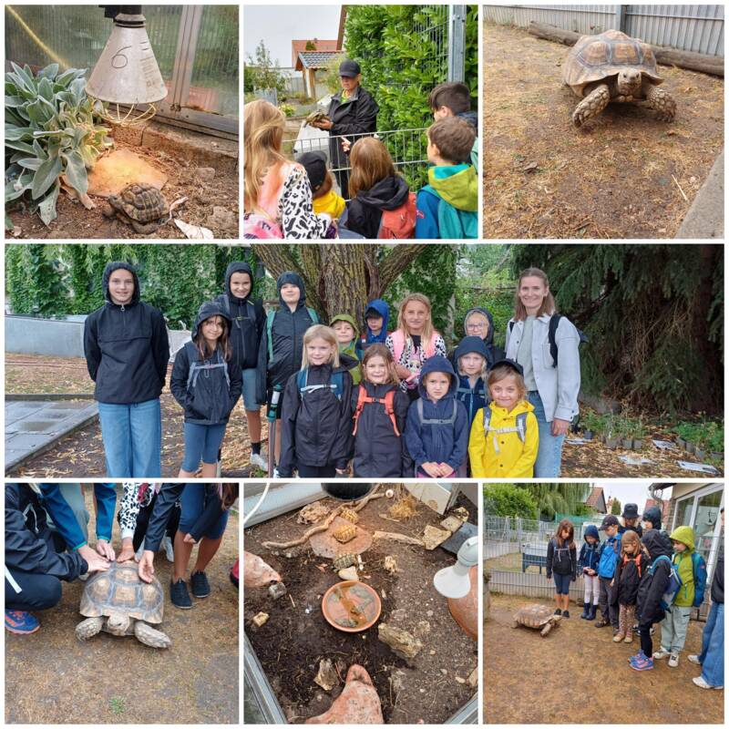Sommerferienaktion in der Schildkrötenauffangstation 